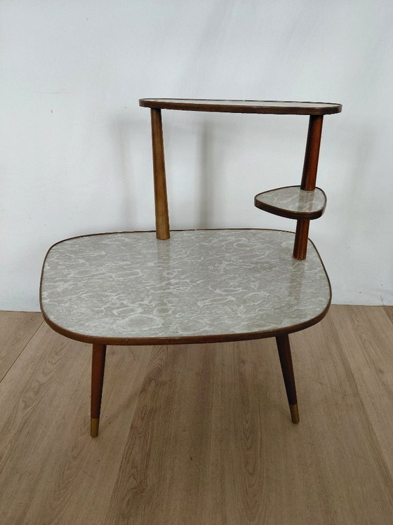 Image 1 of Gran mesa para plantas de los años 50