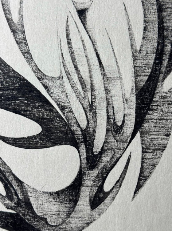 Image 1 of Eugène Eechaut - Original ink drawing – 1969 – Unique work – Framed