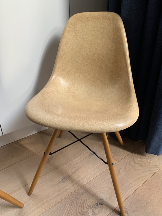 Image 1 of 2 sedie laterali vintage Eames Miller DSW in fibra di vetro color ocra chiaro