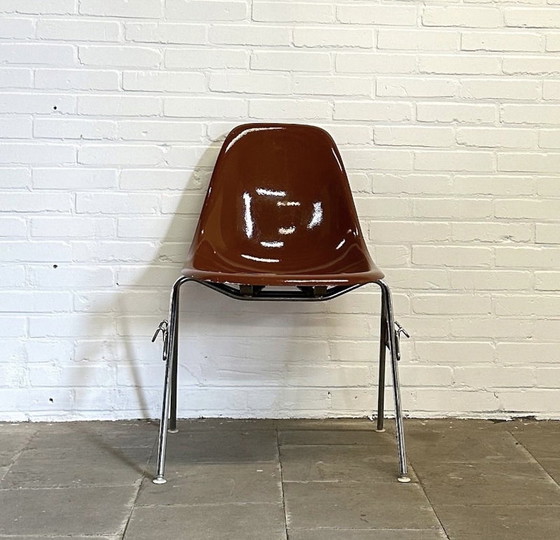 Image 1 of Conjunto de 9 sillas DSS, Charles & Ray Eames para Herman Miller