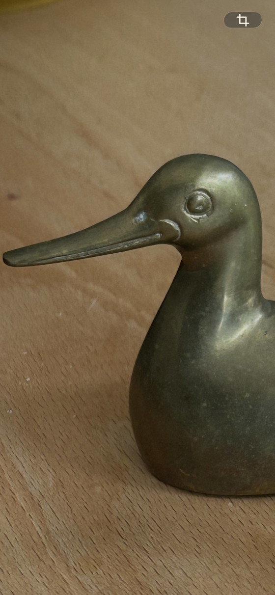 Coppia di anatre vintage in ottone – decorazione anni '60/'70 – Oggetti decorativi, Brass (photo 5 of 6)