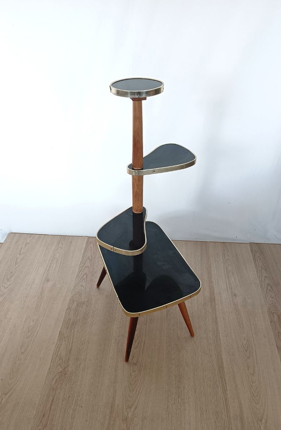 Image 1 of Fünfziger Jahre Pflanzentisch in Schwarz