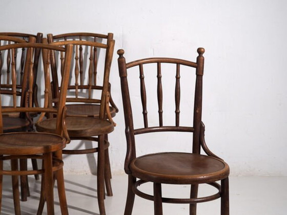 Antique bentwood dining chairs (c.1920). Set of 6 pieces #2 (photo 12 of 40)