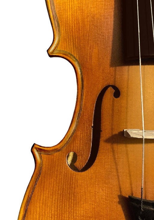 4/4 viool - viool