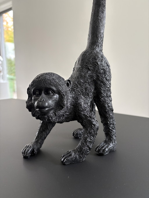 Des histoires de singe !