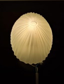 Schelpvormige plafondlamp