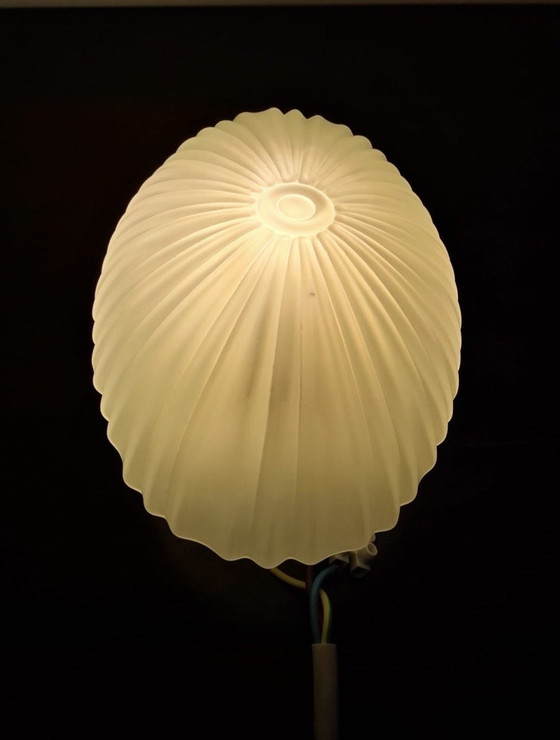 Image 1 of Lámpara de techo Schelpvormige