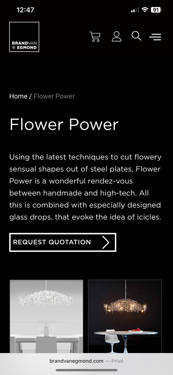 Image 1 of MarqueVanEgmond flowerpower