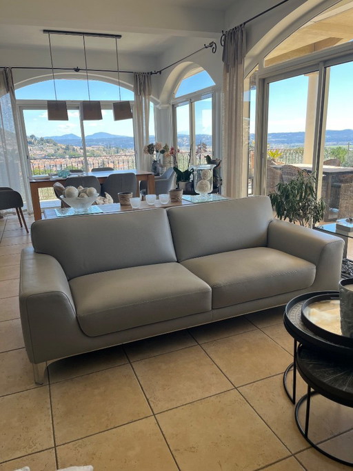 2 graue Ledersofas von Roche Bobois