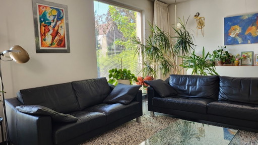 Leolux Antonia 2 en 3 zits bank