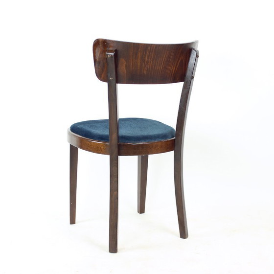 Image 1 of Ensemble de quatre chaises de salle à manger Tatra, Tchécoslovaquie, années 1950