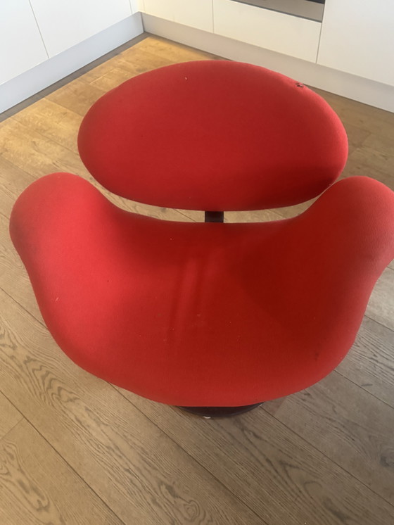 Image 1 of 4 chaises de salle à manger Artifort Filip