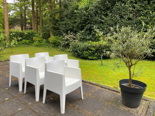 8 sillas blancas de Philippe Starck Driade Toy