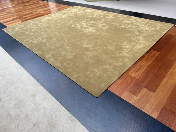 Image 1 of Mostrar modelo Alfombra Besouw 310x390