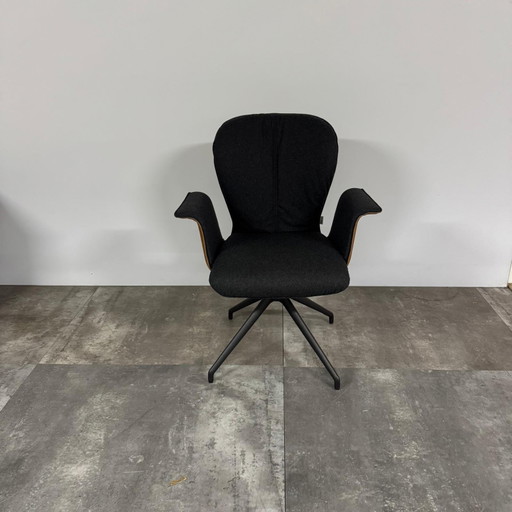 Blake donna Set of 4 – Bert Plantagie, eetkamerstoelen, Leather, Plastic (photo 2 of 4)