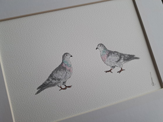 Pintura en acuarela de pequeñas palomas | Incluye marco – Pinturas y dibujos, Paper (photo 3 of 5)