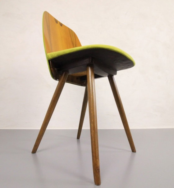 Image 1 of 4x Chaises Tatra "Spring Grass" (herbe de printemps)