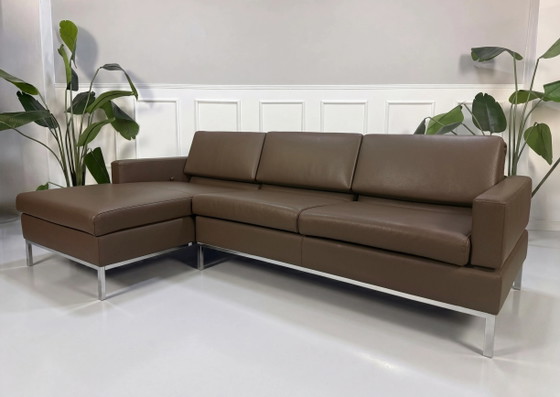 Image 1 of Brühl Tomo Designer Sofa Couch Braun Leder Ausstellungsstück