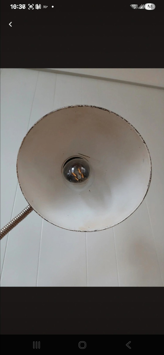 Image 1 of Lampada da scrivania Kaiser Idell