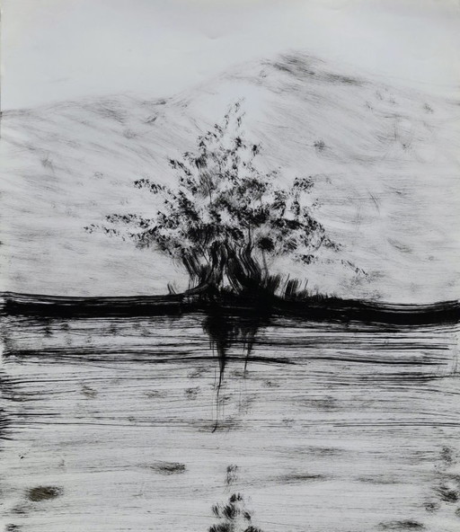 GRANADOS LLIMONA, Ink on glossy paper ('98), Size 65 x 45 cm.