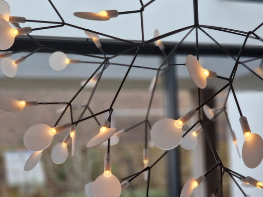 Moooi hanglamp Heracleum II Large Nikkel