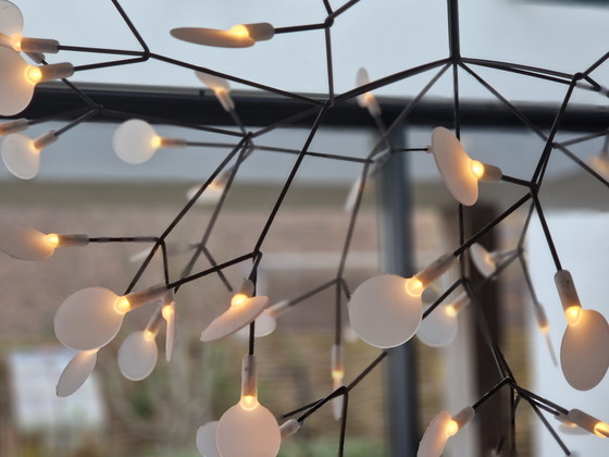 Image 1 of Moooi hanglamp Heracleum II Large Nikkel