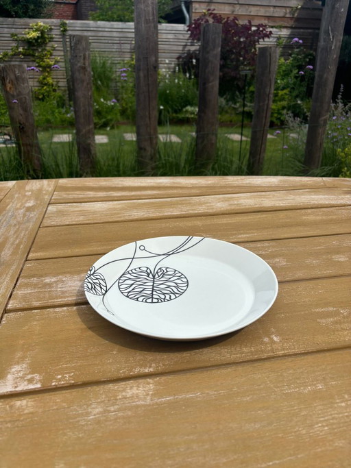 Stoviglie Iittala Bottna 44 pezzi