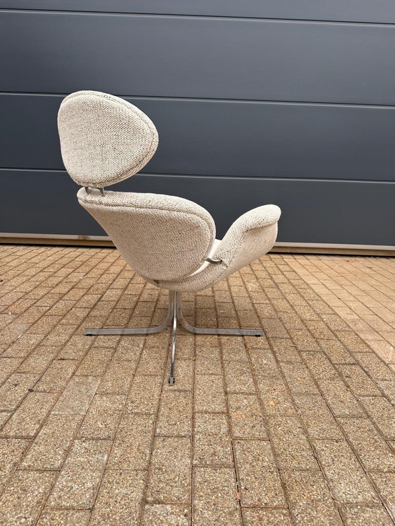 Image 1 of Artifort Big Tulip 1ª Edición 1958 Pierre Paulin, ¡¡¡Impecable estado nuevo!!!