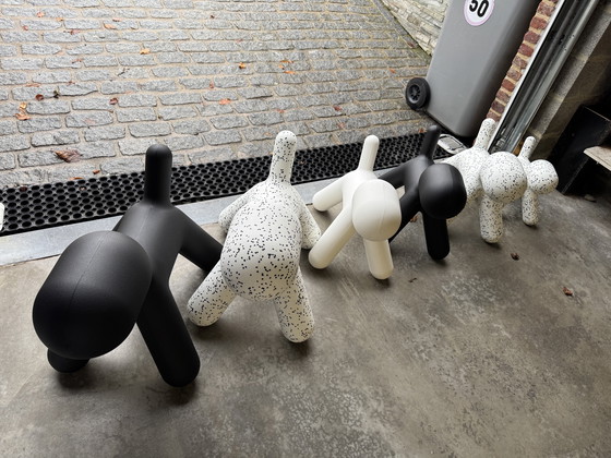 Image 1 of Magis - Metoo Puppy'S