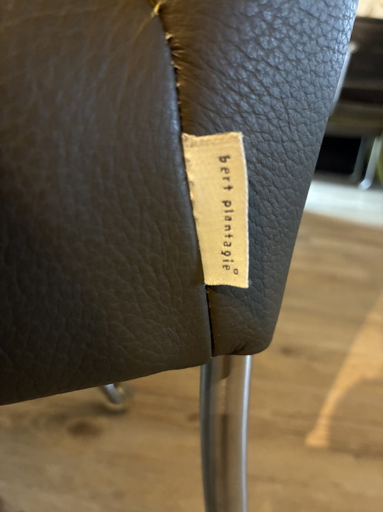 Bert Plantagie Stoelen - Groen/Donker Olijf Leer Op Wieltjes – Eetkamerstoelen, Leather (photo 5 of 8)