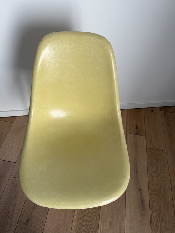 DSW Eames Herman Miller US Edit 50s 60s Design No Vitra Knoll Yellow – Dining chairs, Fiberglass (photo 9 of 10)
