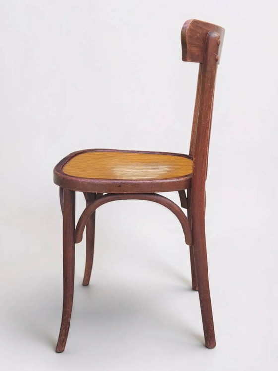 Sedia da bistrò in legno curvato – Sedie da pranzo, Wood (photo 11 of 15)
