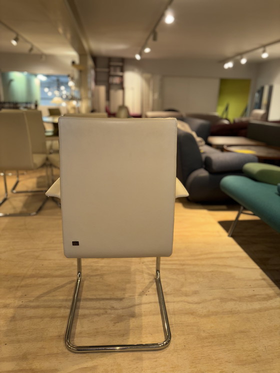 Image 1 of Set di 6 sedie da pranzo Rolf Benz: 4 senza braccioli, 2 con braccioli