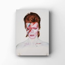 1x Alladin Sane (closed eyes) 1973 David Bowie color photography
