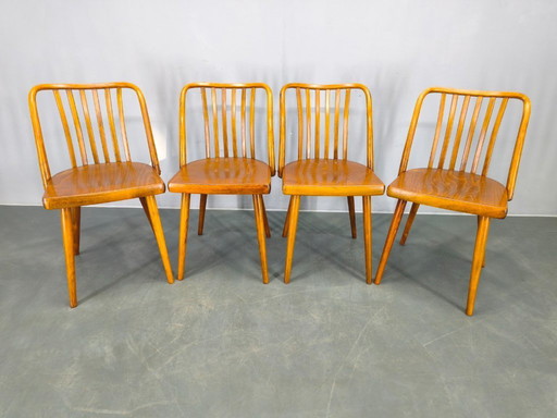 Antonin Suman per TON Dining Chairs, anni '60, set di quattro