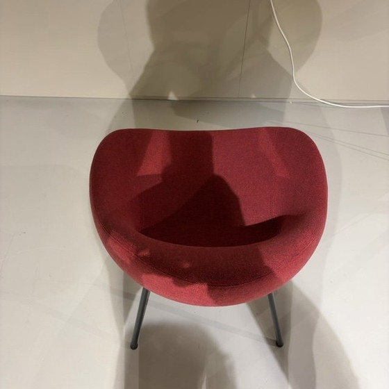 Image 1 of Sedia da pranzo Artifort Shark (set di 4)