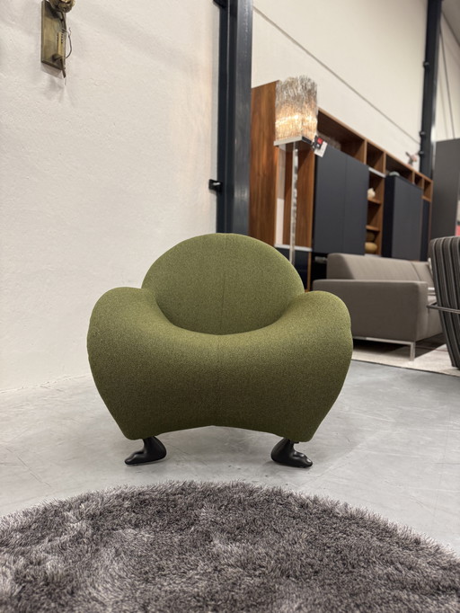 Leolux Papageno Fauteuil Groen stof 