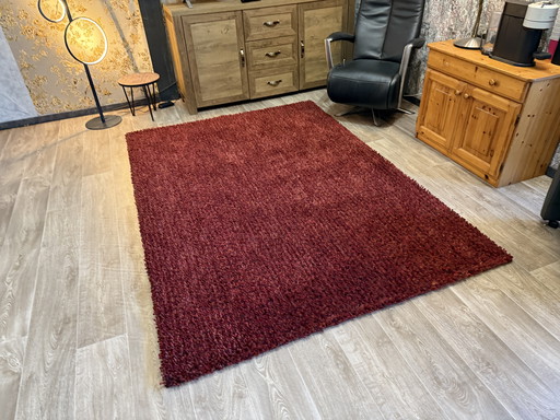 Puntini di Brink En Campman