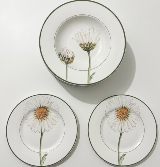 Villeroy & Boch Flora 'Marguerite' – Vajilla de 12 piezas