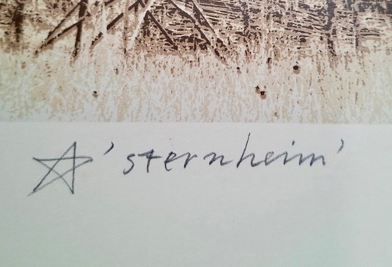 Geurt Van Dijk - Serigrafia 'Sternheim' – Litografie e stampe, Paper (photo 3 of 6)
