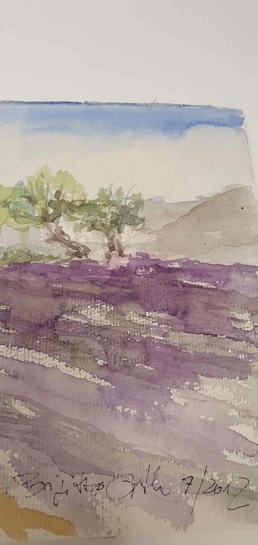 Watercolor Provence 20 x 50