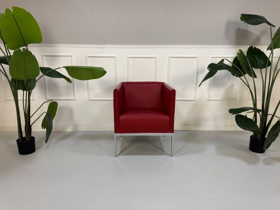 Image 1 of Brühl Armchair Randolph Designer Leather Red