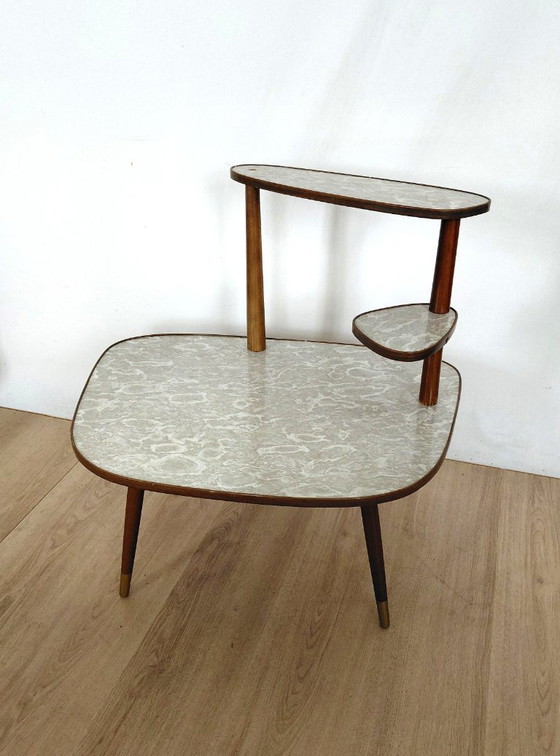 Image 1 of Gran mesa para plantas de los años 50