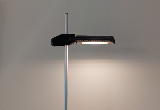 Image 1 of Lampada da terra Arteluce (Flos) nera BIS A700