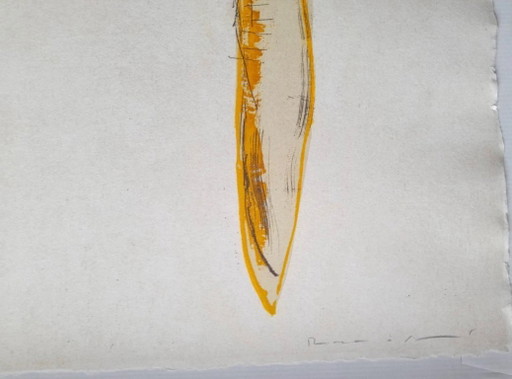 Josep Mª Riera i Aragó - Grabado Firmado y Numerado (95 x 74 cm).
