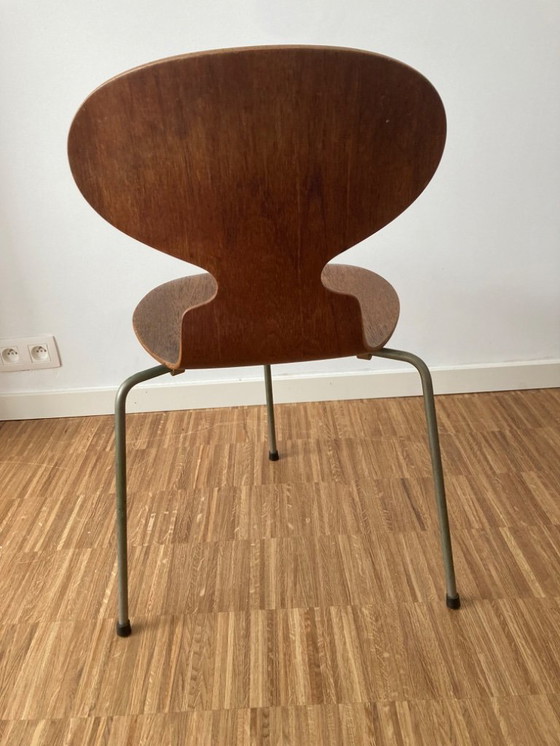 Image 1 of 2x silla Arne Jacobson Ant, originales ( años 50 )