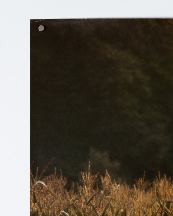 Image 1 of Porsche, de auto van het decennium – 1979 – Originele vintage reclameposter – Vintage – 102x76 cm