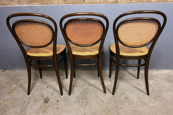 Thonet 215r 6 chairs classic design – Dining chairs, Wood, Rattan (photo 14 of 15)