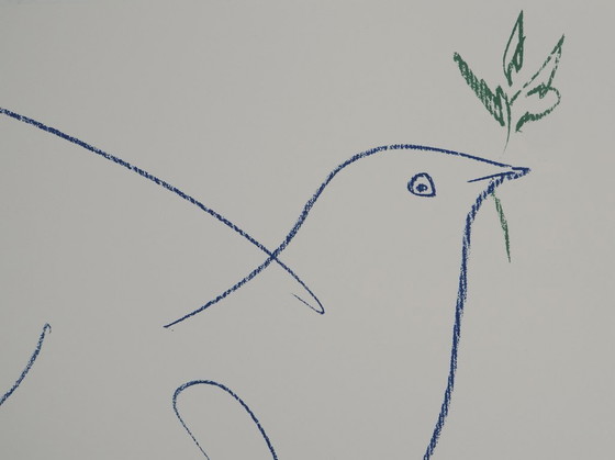 Pablo Picasso: The Blue Dove (Large Model), Signed Lithograph – Lithographs & prints, Paper (photo 4 of 6)