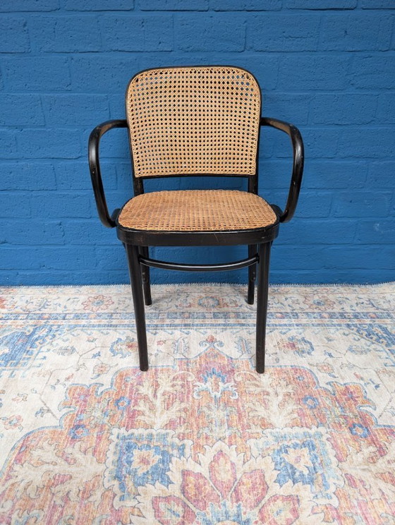 Image 1 of 4 chaises Prague 811 vintage, Josef Hoffmann, années 1960